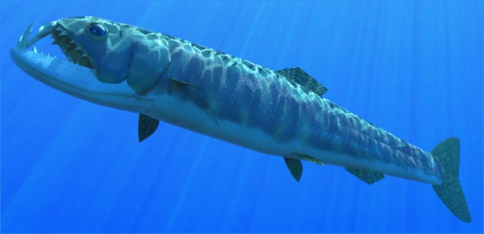 Enchodon isthmius, or bladefish