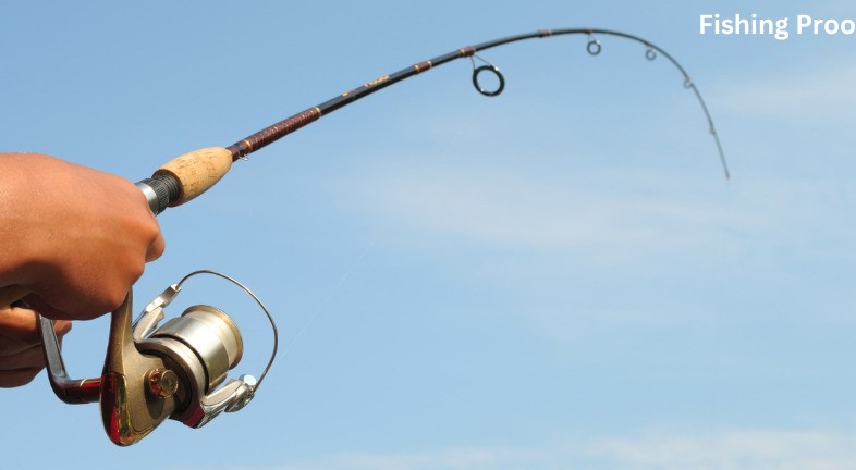 Top fishing rods quickly summarized