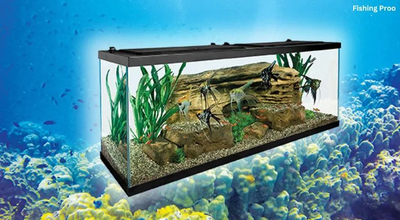 An Aquatic Splendor Canvas