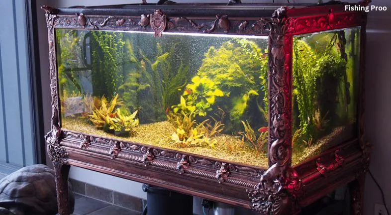 VICTORIAN FISH TANK