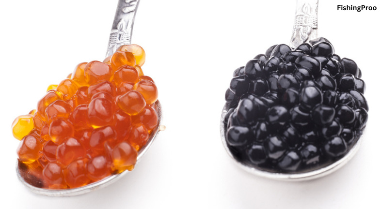 Fish Roe vs. Caviar: When Eggs Go Bad