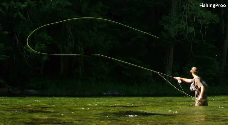 Fly Fishing
