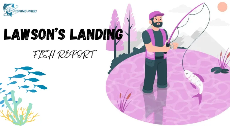 LAWSON’S LANDING FISH REPORT-