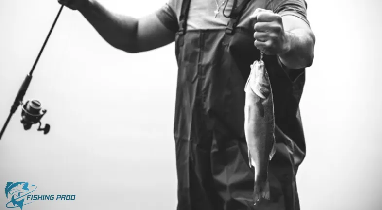 ANGLING FISHING-