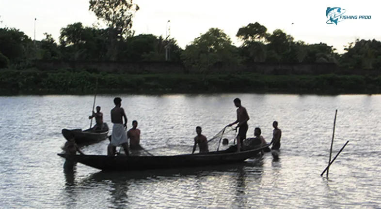 WHAT IS CALCUTTA IN FISHING-