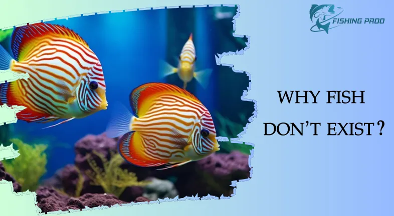 WHY FISH DON’T EXIST?