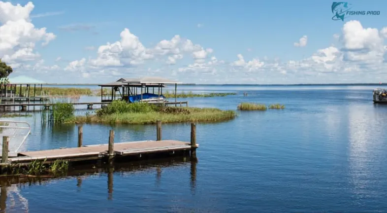 Lake Istokpoga