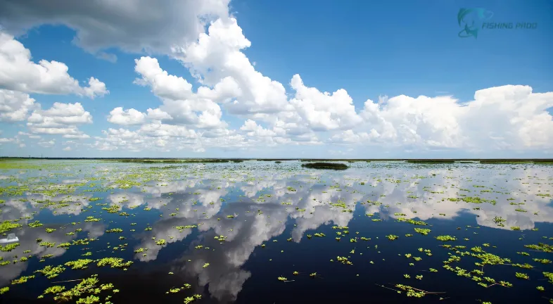 Lake Okeechobee