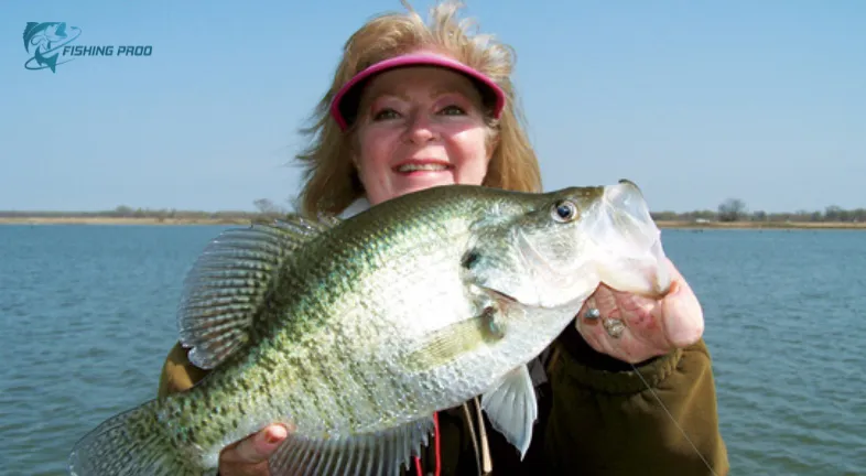 Crappie Fishing