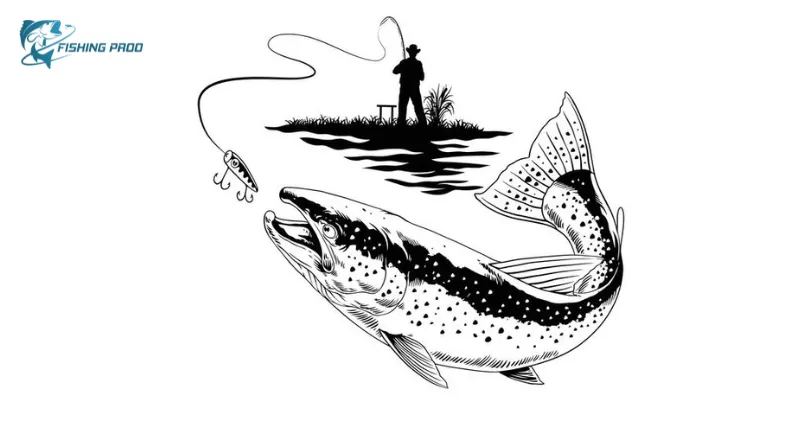 Drawing Your Catch