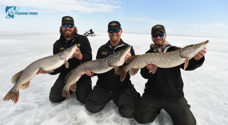 Lake Of The Woods Ice Fishing Report