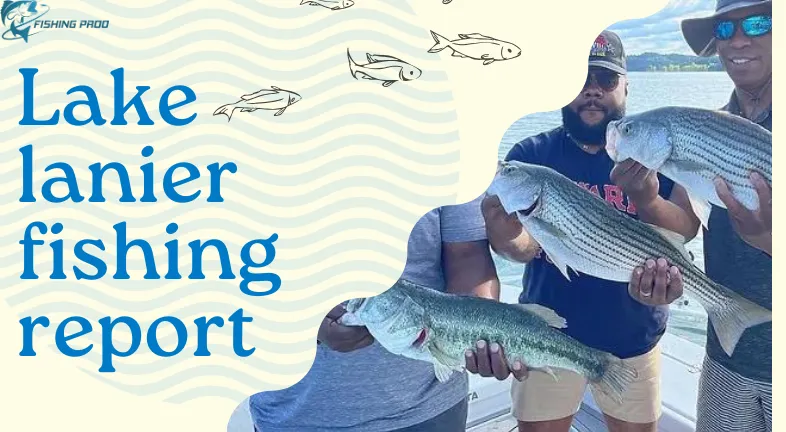 Lake lanier fishing report