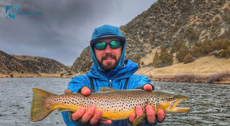 Madison River Fishing Report