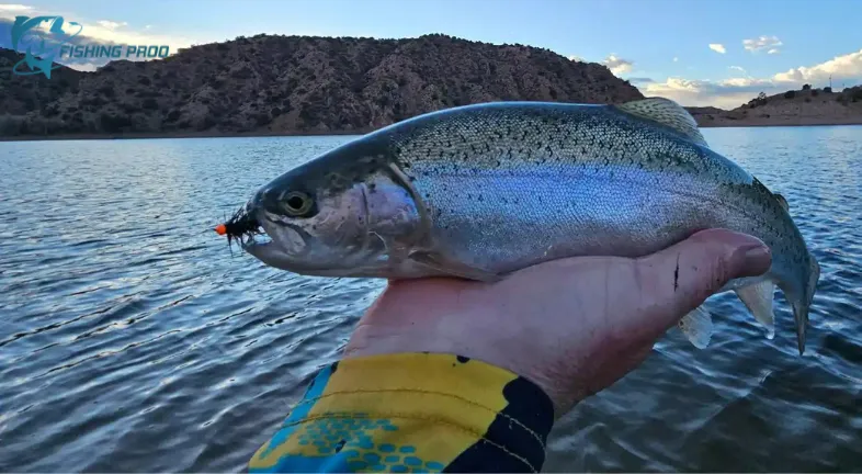 NM Fishing Report