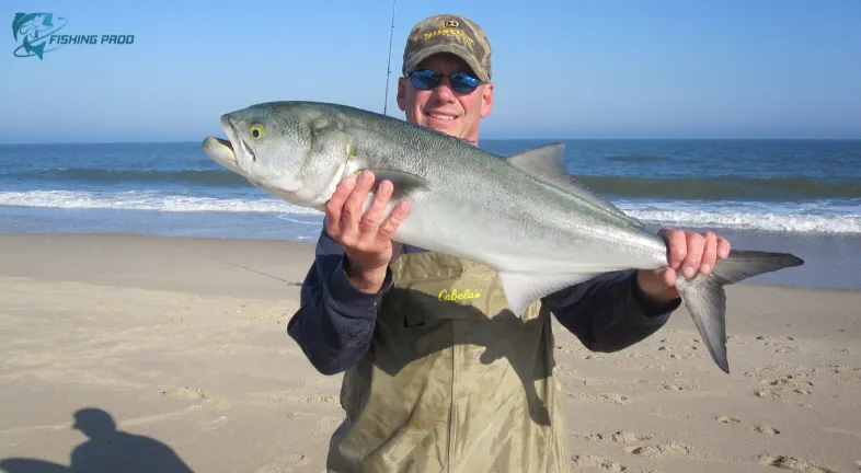 Surfcasting: A Shoreline Symphony