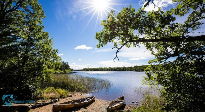 The Boundary Waters Canoe Area of Minnesota