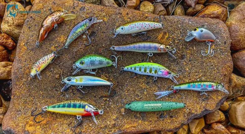 Top Spots for Trout Lure Fishing