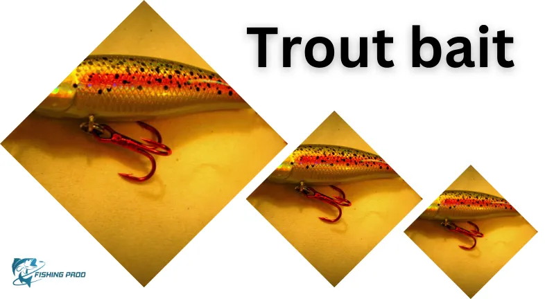 Trout bait