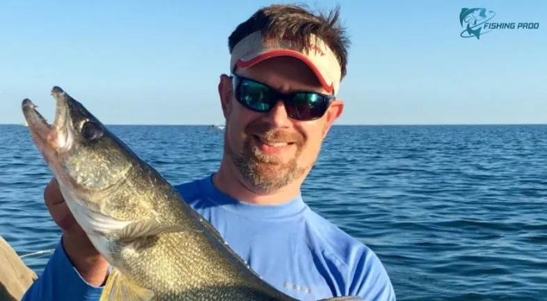 Western Lake Erie Fishing Report