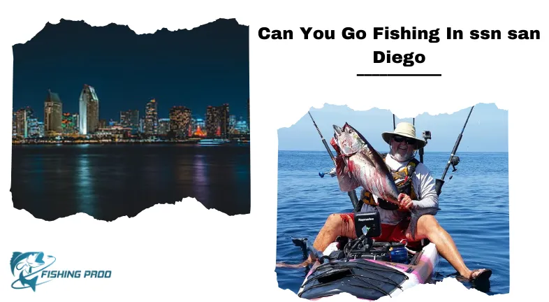 Can You Go Fishing In ssn san Diego