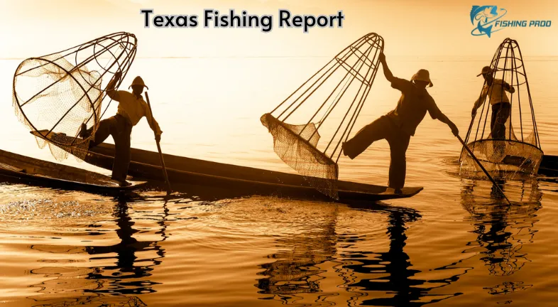 Texas Fishing Report