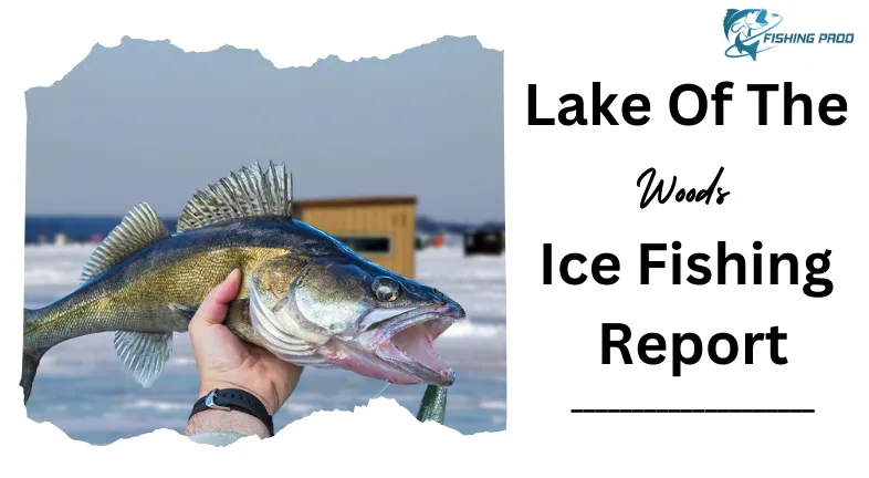 Lake Of The Woods Ice Fishing Report