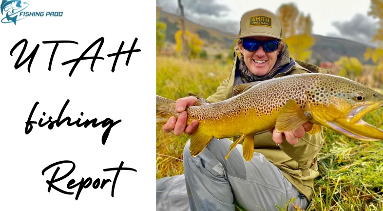 UTAH Fishing Report