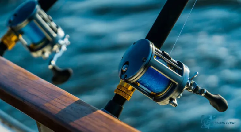 Advice for a Memorable Ocean Fishing Trip