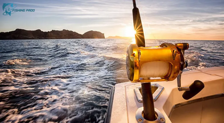 Ocean Fishing in Denver Colorado