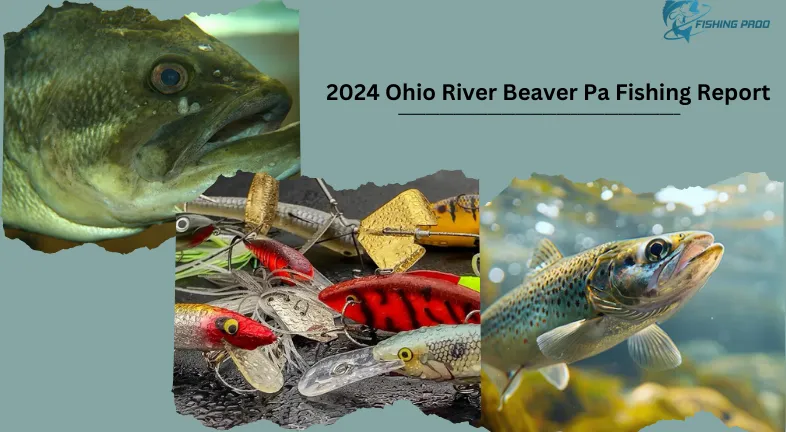 2024 Ohio River Beaver Pa Fishing Report