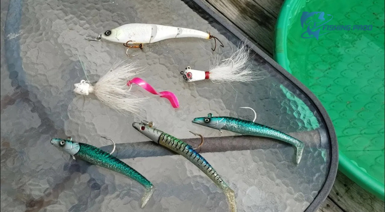 10 Lures for the Cape Cod Canal