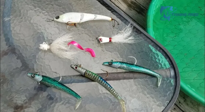 10 Lures for the Cape Cod Canal