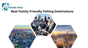 Best Family-Friendly Fishing Destinations