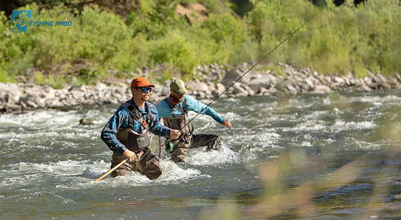 How to Choose the Best Water Socks for Your Needs