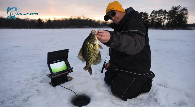 Understanding Early Ice Conditions