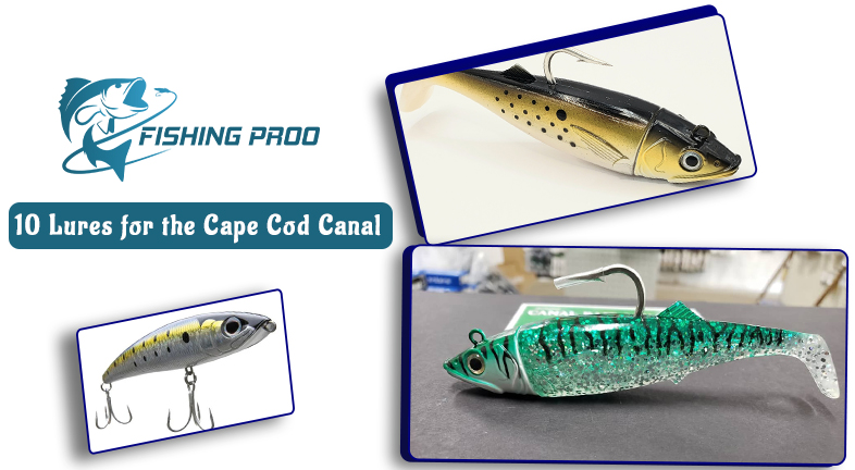 10 Lures for the Cape Cod Canal