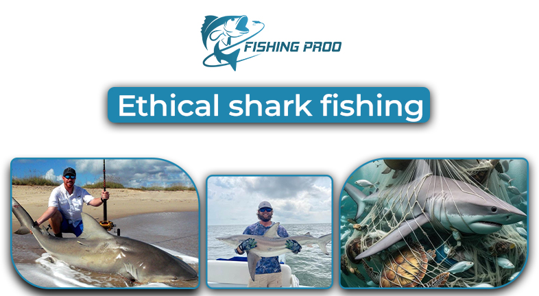 Ethical Shark Fishing