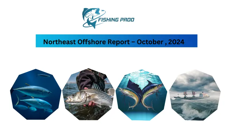 Northeast Offshore Report – October , 2024