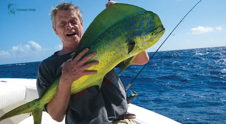 Mahi-Mahi (Dolphinfish)