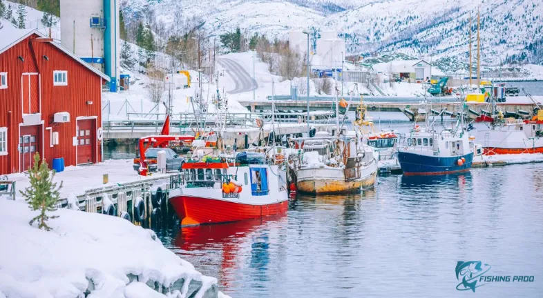 Best Winter Headboat Trips