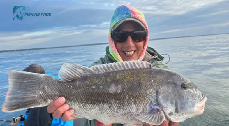 Massachusetts Fishing Report