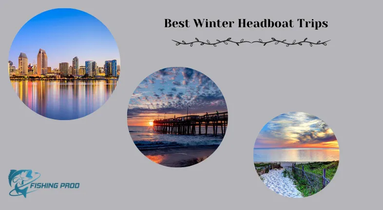 Best Winter Headboat Trips