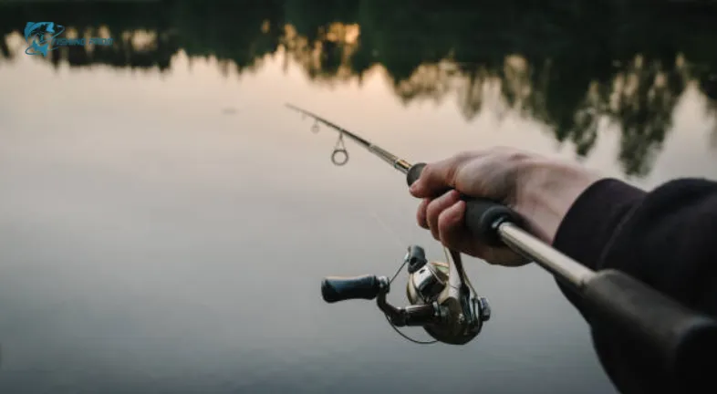 Pick the Right Bait