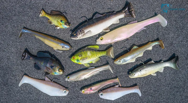 Soft Plastic Swimbaits: The All-Rounder