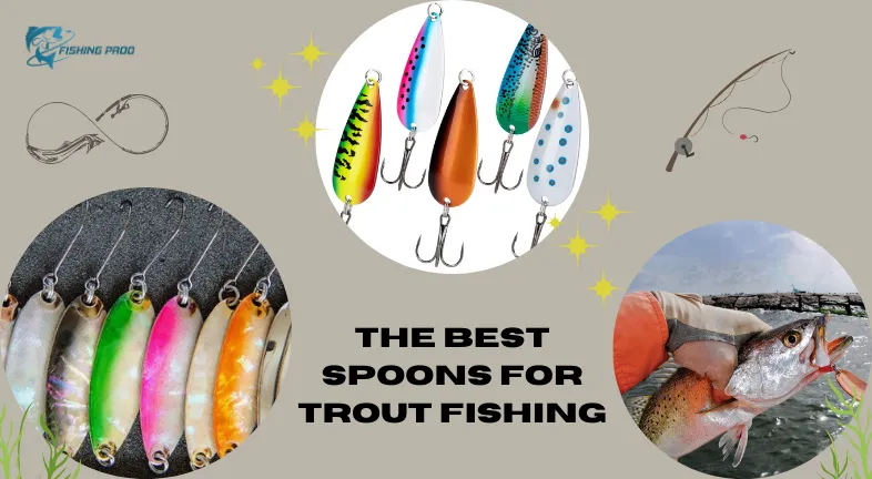 The Best Spoons for Trout Fishing