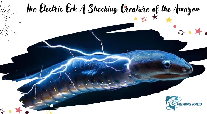 The Electric Eel