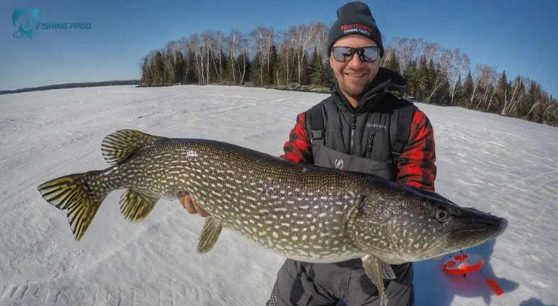 The Ultimate Ice Fishing Pike Setup: An easy guide to beginners.