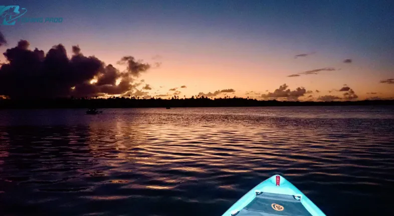 Best Bioluminescent Bays for Fishing