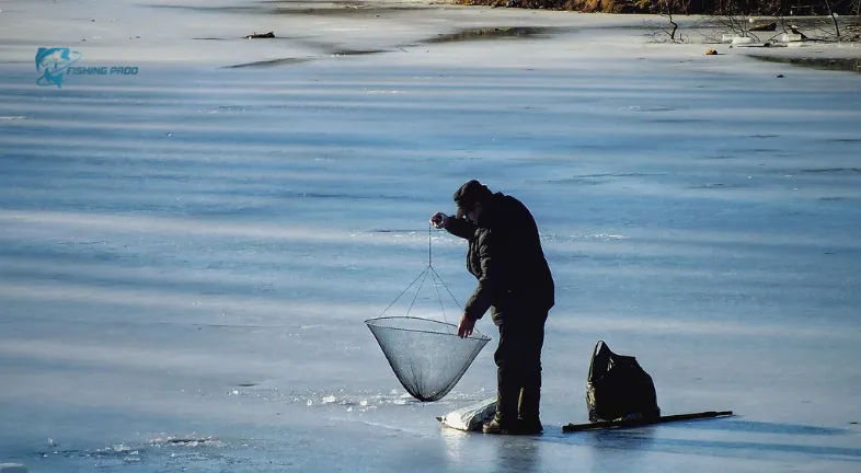 Winter: Slow and Steady Wins the Race