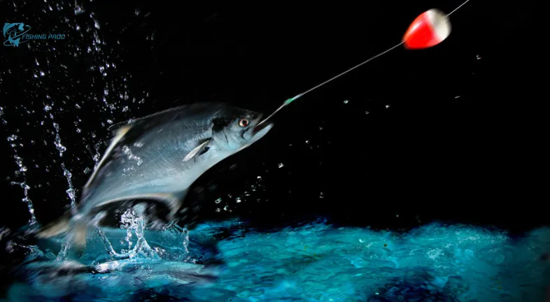 Benefits of Night Fishing